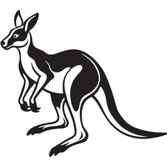 kangaroo illustration