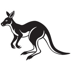 kangaroo illustration