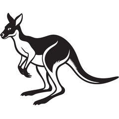 kangaroo illustration