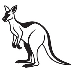 kangaroo illustration