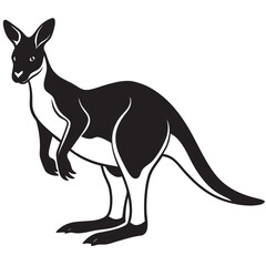 kangaroo vector illustration