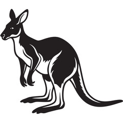 kangaroo illustration