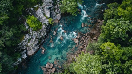 Aerial view of rocky river in the middle of a forest © ArtBox