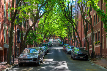Tree-lined charming residential street with parked cars and brick buildings in Boston, Massachusetts, USA © Baharlou