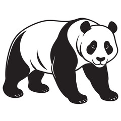 panda bear illustration