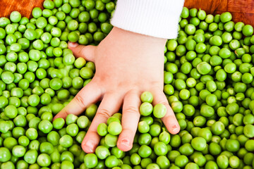 Child hand playing with a pile of fresh green peas on a wooden surface.