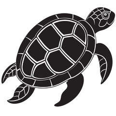 turtle illustration
