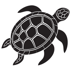 turtle illustration