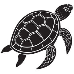 turtle illustration