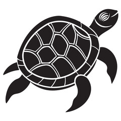 illustration of turtle