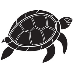 Obraz premium turtle illustration