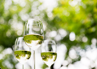 Three wine glasses with white wine and a beautiful bokeh on the background. The focus is on the reflection in the wine glass. Shallow depth of field. Copy space.