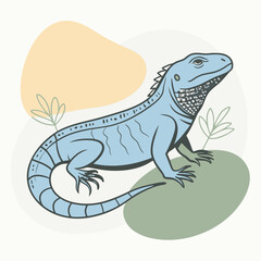 illustration of a lizard