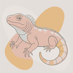 illustration of a lizard
