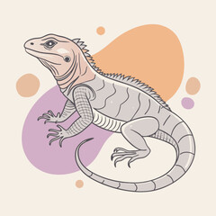 illustration of a lizard