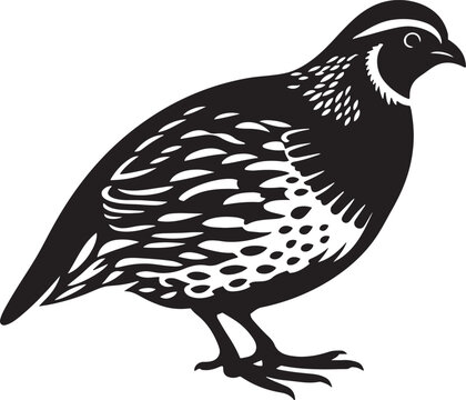 recommend clip art: Quail bird silhouette vector illustration.