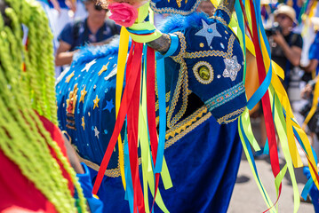Arraial do Pavulagem is a musical group that develops an artistic and cultural movement that occupies the streets of Bel&eacute;m do Par&aacute; with its popular and colorful processions in June and October