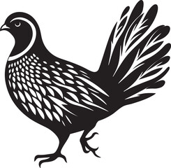 Quail bird silhouette vector illustration.