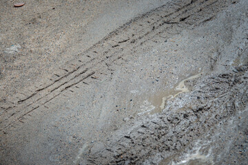A muddy road with tire tracks and a puddle of water