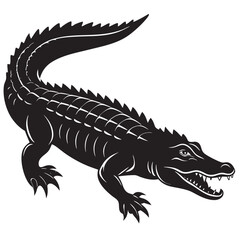 illustration of a crocodile