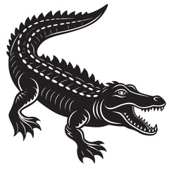 illustration of a crocodile