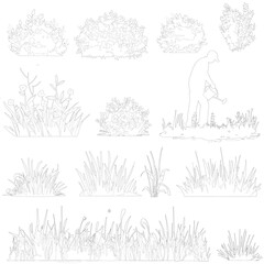 cad plants and grass, linear , llustrations	
