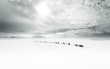 dogs and person sledding in snow, winter landscape, Finland Hetta, outdoor snowy nature scene with huskies, fresh misty snowing, seasonal adventure arctic wilderness, frozen solo expedition travel