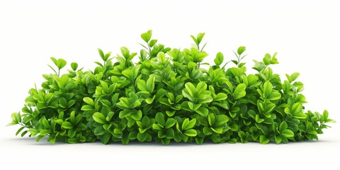 Obraz premium A green bush with lush foliage, showcasing natural growth and organic patterns.