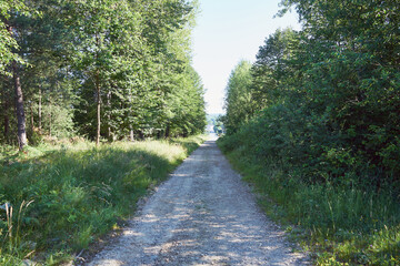 droga  © Marcin Łazarczyk