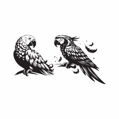 Fototapeta premium parrot vector silhouette style