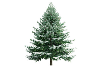 Snow-covered evergreen tree isolated on transparent background. Perfect for winter or holiday-related designs and projects.