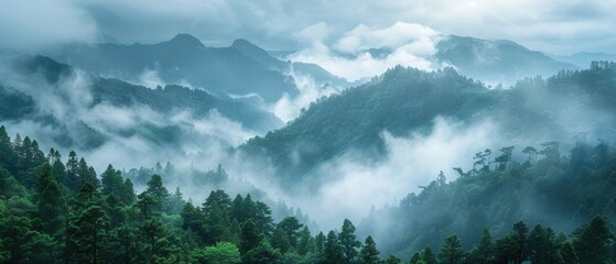 Misty mountain range with dense forests and low-hanging clouds