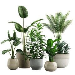 Obraz premium A potted plant with green leaves and flowers on a white background