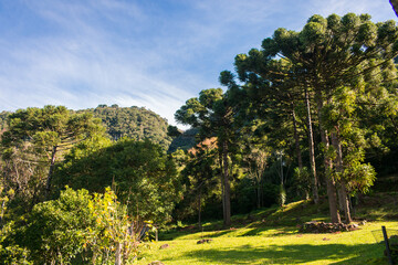 Mountains and forest view at Parque das 8 Cachoeiras in Sao Francisco de Paula, South of Brazil