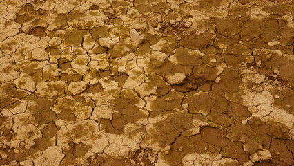 cracked sand floor of valley