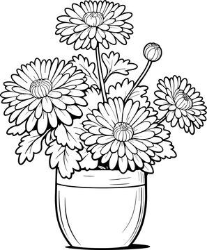 recommend clip art: Beautiful blooming chrysanthemum flowers in pot for coloring pages, children book, November’s birth month flowers, spring, summer, tropical, gardening, botany, vintage, mother, floral clipart, gerbera