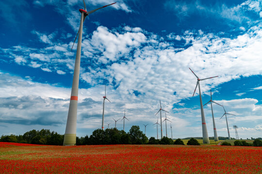 Poppyfield with wind turbins