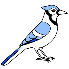 Jay line art vector illustration and  svg