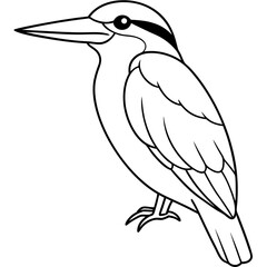a cute Kingfisher line art vector illustration