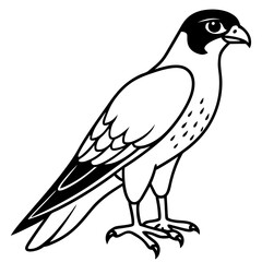 Peregrine Falcon line art vector illustration