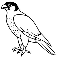 Peregrine Falcon line art vector illustration