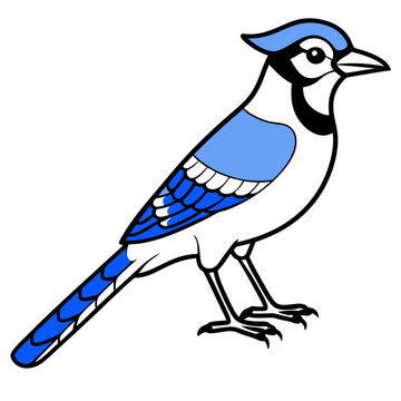 recommend clip art: Jay line art vector illustration and  svg