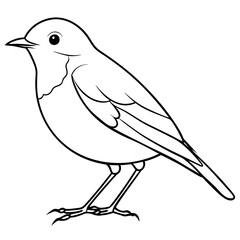 Robin line art vector illustration svg file
