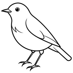 Robin line art vector illustration svg file
