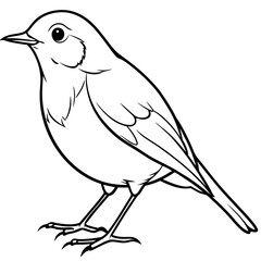 Robin line art vector illustration svg file