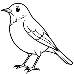 Robin line art vector illustration svg file
