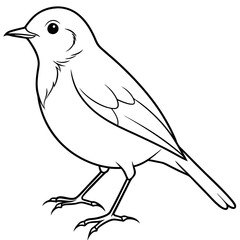 Robin line art vector illustration svg file