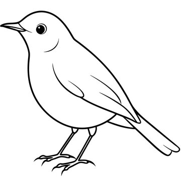 recommend clip art: Robin line art vector illustration svg file