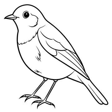 recommend clip art: Robin line art vector illustration svg file