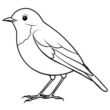 recommend clip art: Robin line art vector illustration svg file
